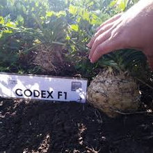 Učitajte sliku u pregledač Galerija, Codex F1 Pilirano