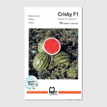 Učitajte sliku u pregledač Galerija, Crisby F1