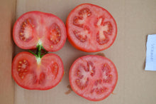 Učitajte sliku u pregledač Galerija, Vermoni F1