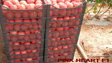 Učitajte sliku u pregledač Galerija, Pink heart F1