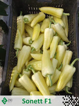 Učitajte sliku u pregledač Galerija, Sonett F1