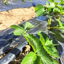 Učitajte sliku u pregledač Galerija, Traka za navodnjavanje POLLY AQUA TAPE 100m