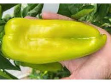 Učitajte sliku u pregledač Galerija, KG 2129 F1