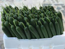 Učitajte sliku u pregledač Galerija, Meriland (Mariland)