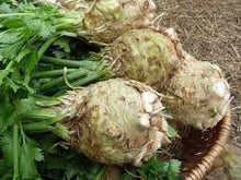 Učitajte sliku u pregledač Galerija, Asterix