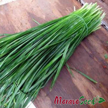 Učitajte sliku u pregledač Galerija, Luk za vezice Entita