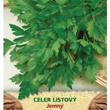 Učitajte sliku u pregledač Galerija, Celer lišćar Jemny