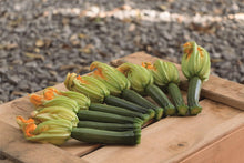 Učitajte sliku u pregledač Galerija, Modena