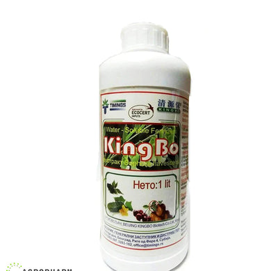 Kingbo AS