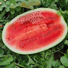 Učitajte sliku u pregledač Galerija, Naisy F1