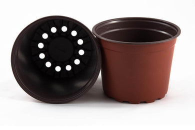 Čaša za rasad F17/ 100kom