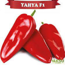 Učitajte sliku u pregledač Galerija, Yahya F1
