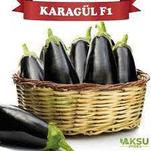 Učitajte sliku u pregledač Galerija, Karagul F1
