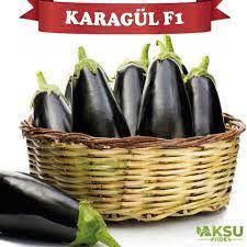 Karagul F1