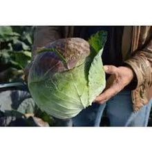 Učitajte sliku u pregledač Galerija, Pourovo Pozdni F1