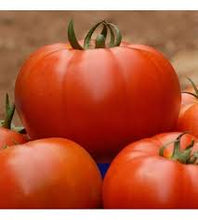 Učitajte sliku u pregledač Galerija, Manusa roze F1