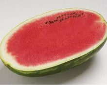 Učitajte sliku u pregledač Galerija, Uzman F1