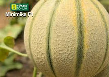 Učitajte sliku u pregledač Galerija, Minimiks F1