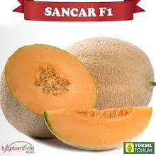 Učitajte sliku u pregledač Galerija, Sancar F1