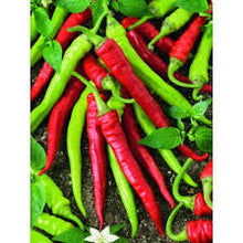 Učitajte sliku u pregledač Galerija, Szikra F1