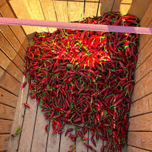 Učitajte sliku u pregledač Galerija, Segedi 178 F1