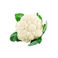 Učitajte sliku u pregledač Galerija, Inci f1