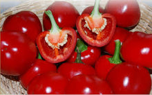 Učitajte sliku u pregledač Galerija, Global F1