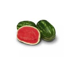 Učitajte sliku u pregledač Galerija, Zora F1