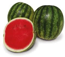 Učitajte sliku u pregledač Galerija, Pluto F1