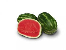 Učitajte sliku u pregledač Galerija, Nautilus F1