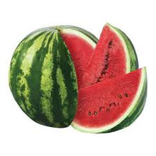 Učitajte sliku u pregledač Galerija, Nautilus F1