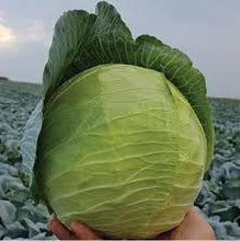 Učitajte sliku u pregledač Galerija, Discos F1