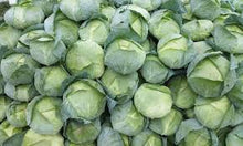 Učitajte sliku u pregledač Galerija, Discos F1