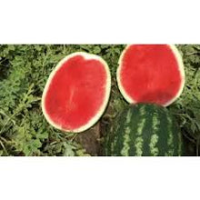 Učitajte sliku u pregledač Galerija, Red Secret F1