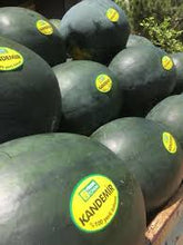 Učitajte sliku u pregledač Galerija, Kandemir F1