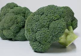 Covina F1 (precizna setva)