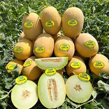 Učitajte sliku u pregledač Galerija, Lokum F1