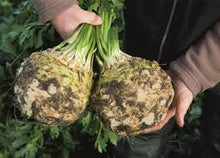 Učitajte sliku u pregledač Galerija, Carla F1