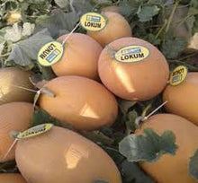 Učitajte sliku u pregledač Galerija, Lokum F1