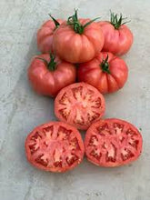 Učitajte sliku u pregledač Galerija, Sonarosa F1