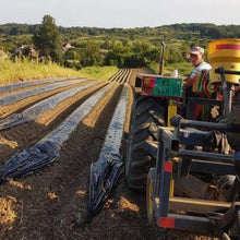 Učitajte sliku u pregledač Galerija, Malč folija za jagode 1,2m x 50m 30mic (30x30)