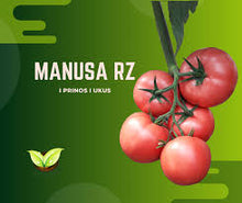 Učitajte sliku u pregledač Galerija, Manusa roze F1
