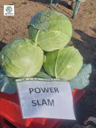 Power slam F1