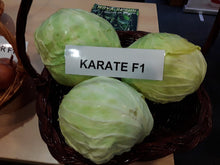 Učitajte sliku u pregledač Galerija, Karate F1