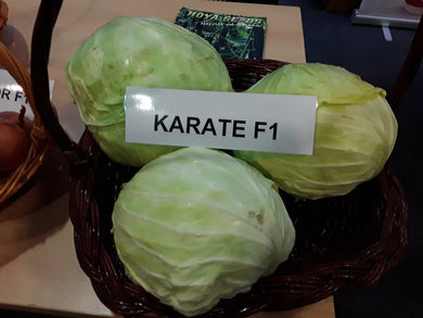 Karate F1