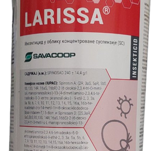 Larissa