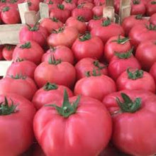 Učitajte sliku u pregledač Galerija, Pink Panther F1