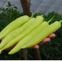 Učitajte sliku u pregledač Galerija, Rapires F1