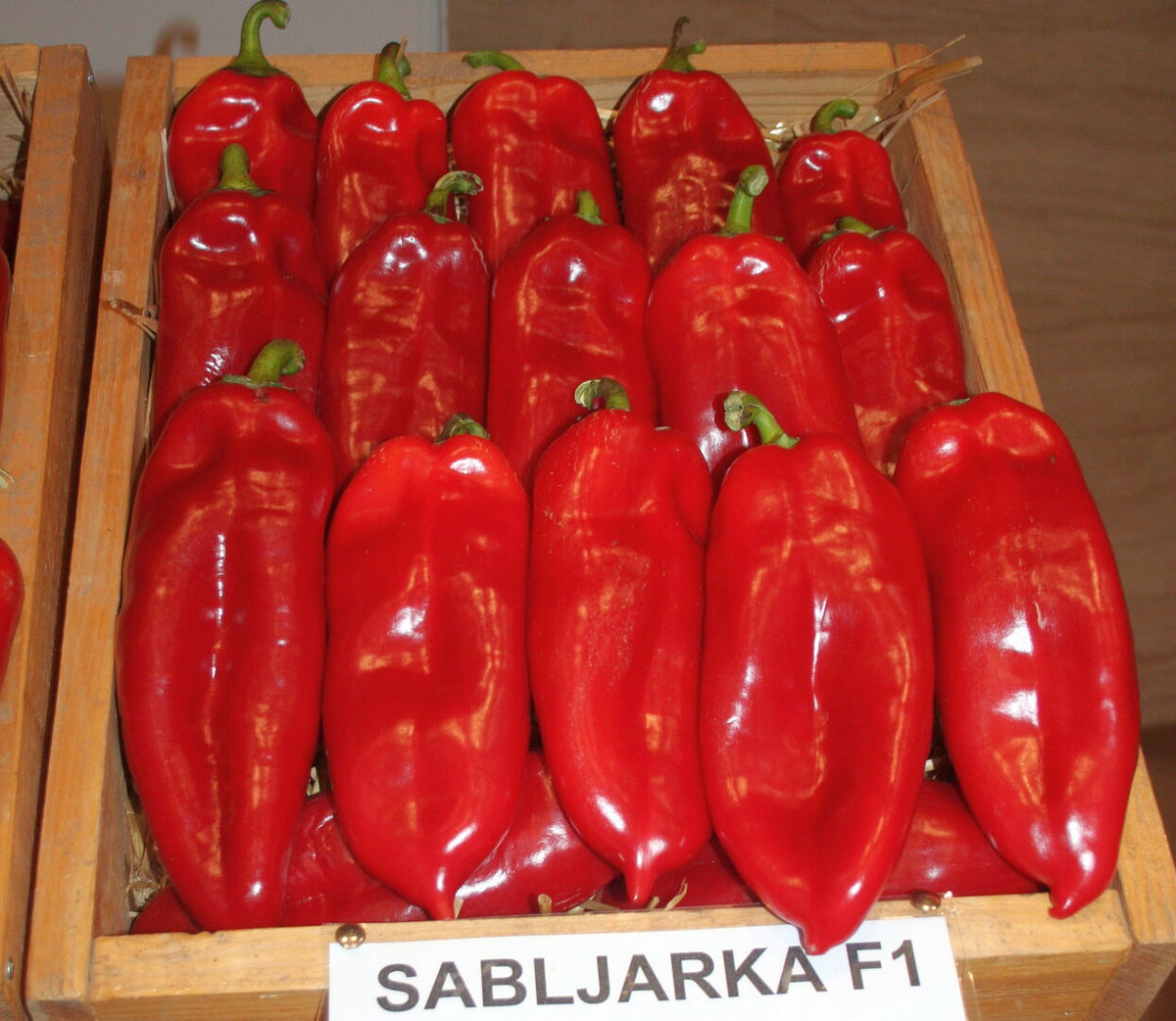Sabljarka F1-Kupi on-line profesionalno seme paprike! Agro-gru ...