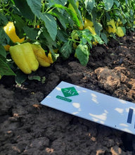 Učitajte sliku u pregledač Galerija, Ipon F1